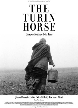 turin horse